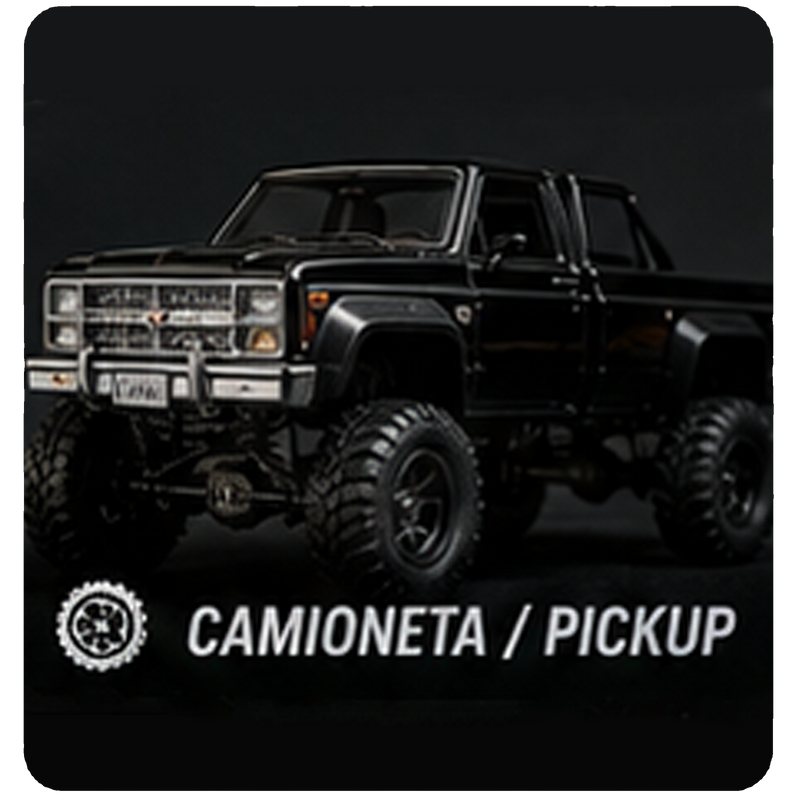 Camioneta/Pickup