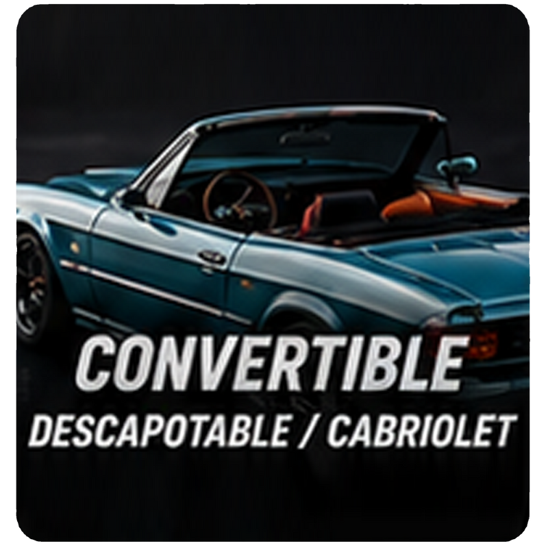 Convertible/descapotable/cabriolet